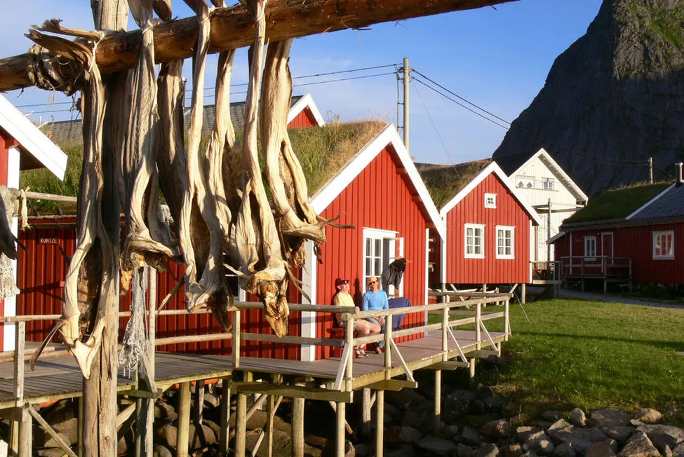 Klicka för att förstora