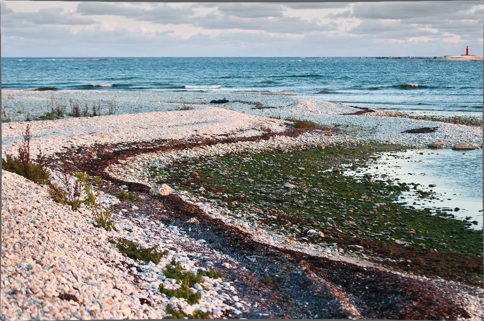 Klicka för att förstora