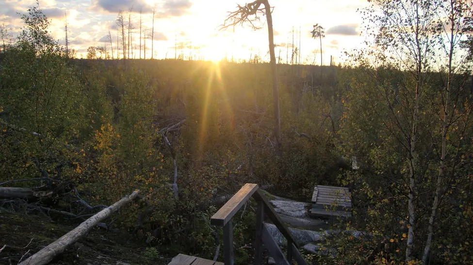 Klicka för att förstora
