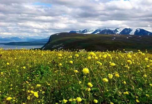 En fantastisk tältplats ovanför Vaisaluokta