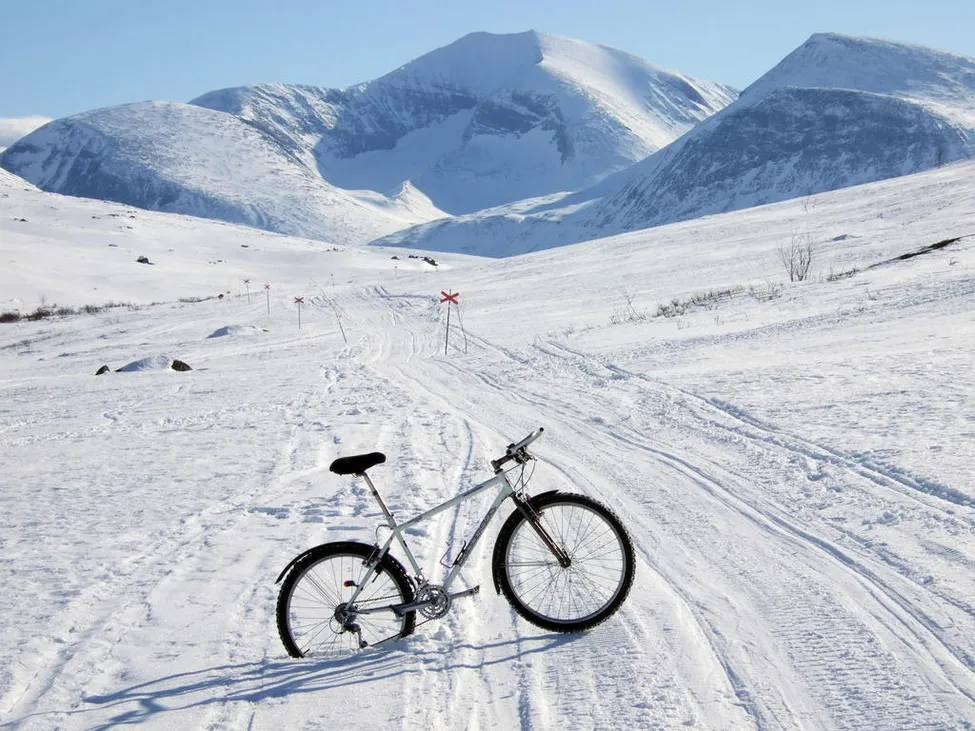 Klicka för att förstora