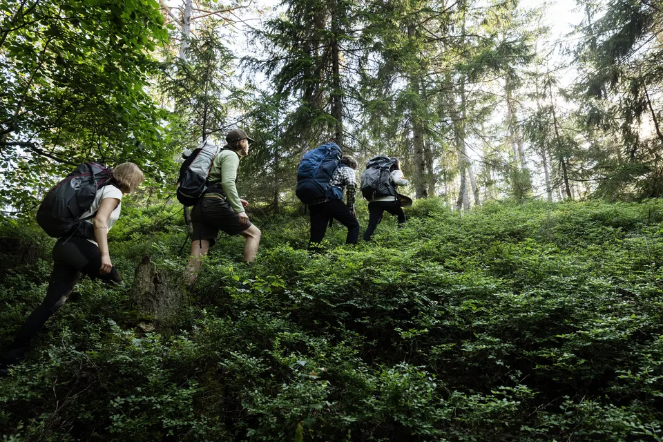Så ska fler våga sig ut och vandra – Naturkompaniets nya satsning