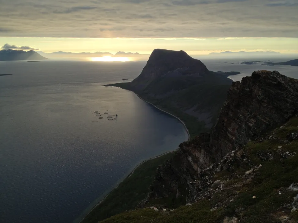 Klicka för att förstora