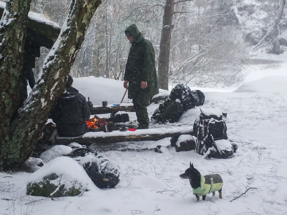 Klicka för att förstora