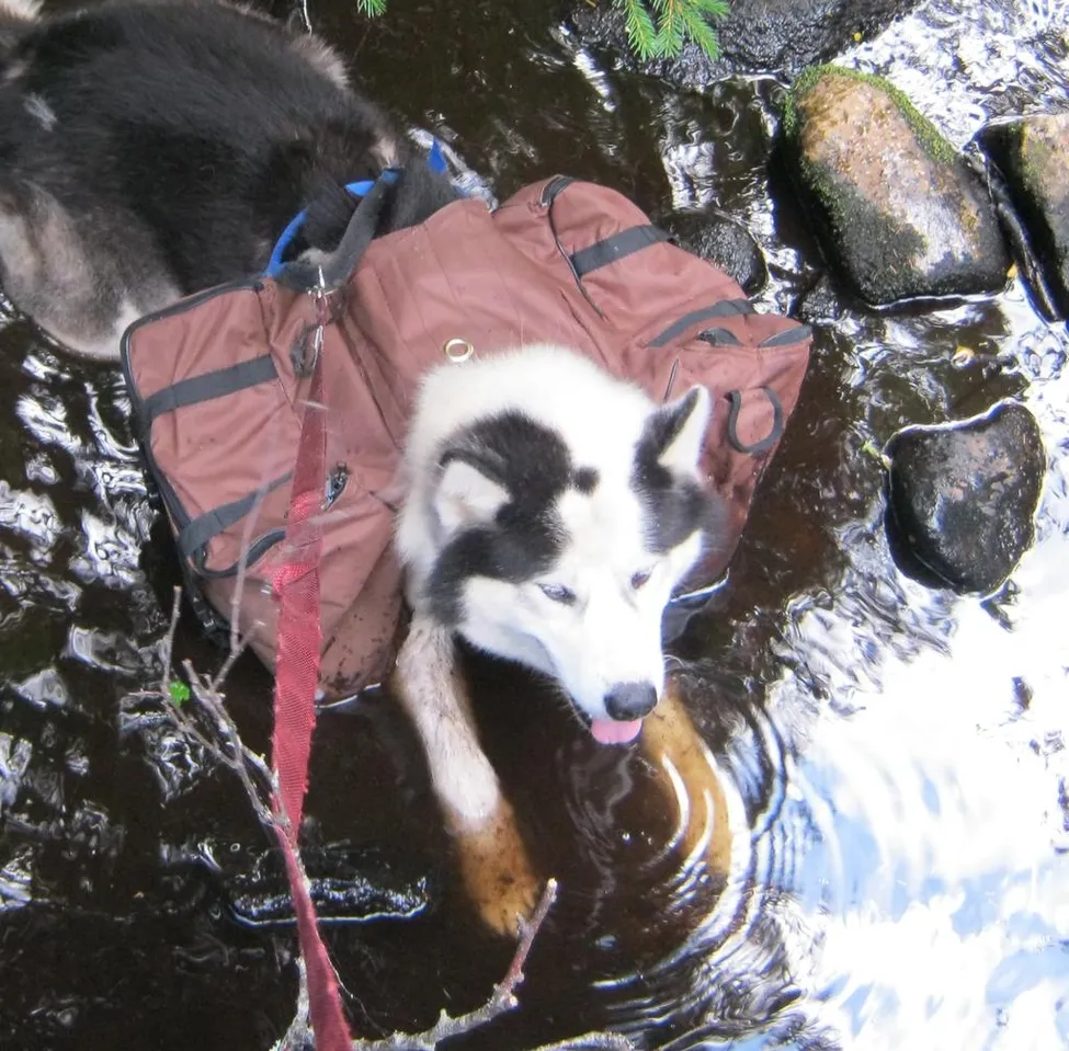 Klicka för att förstora