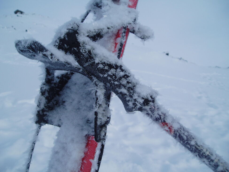Klicka för att förstora