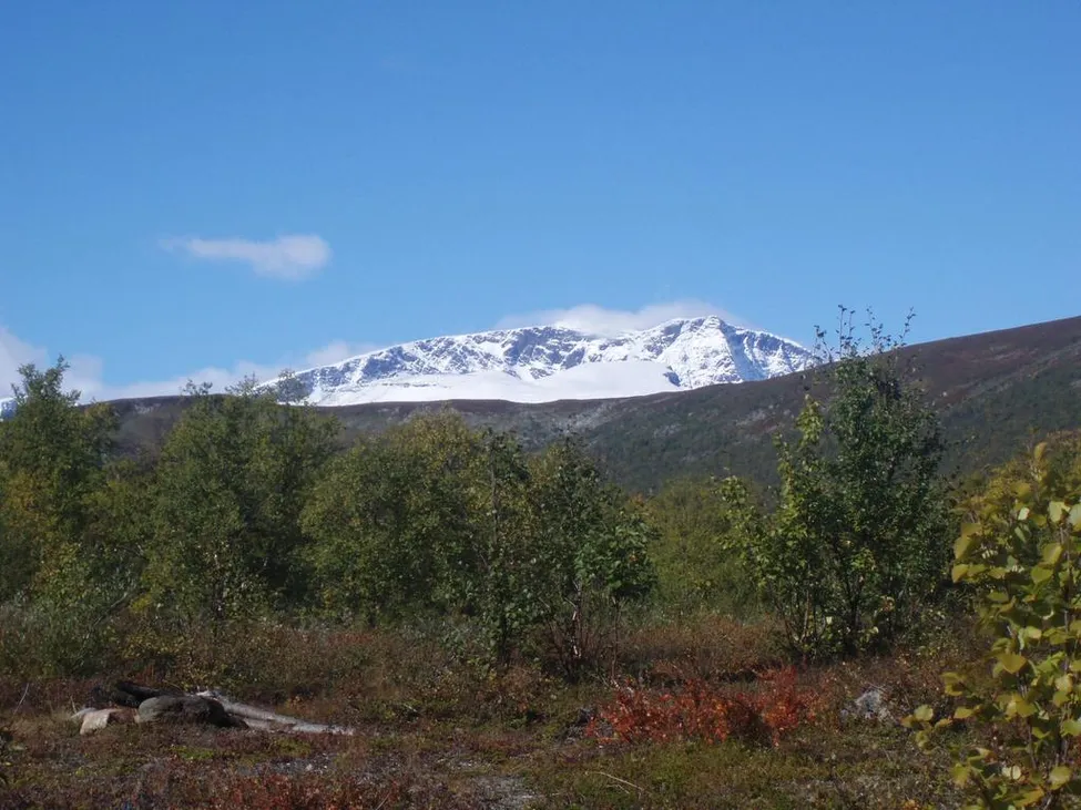 Klicka för att förstora