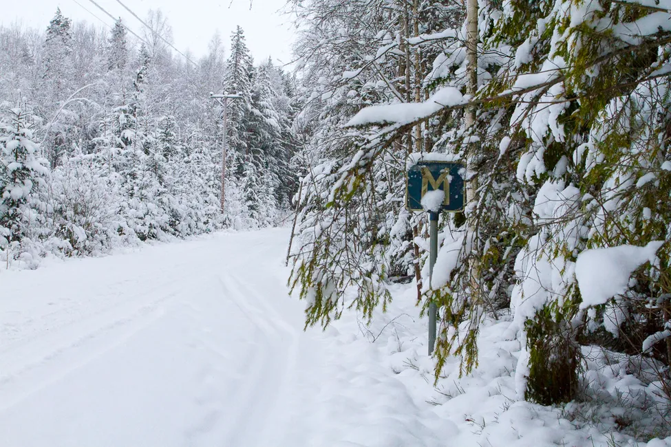 Klicka för att förstora