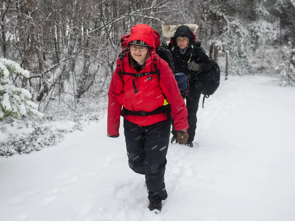 Klicka för att förstora
