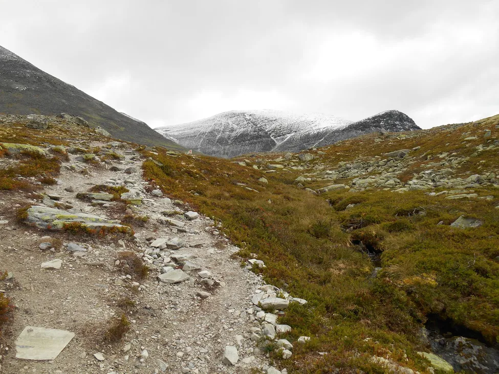 Klicka för att förstora