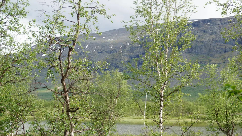 Klicka för att förstora