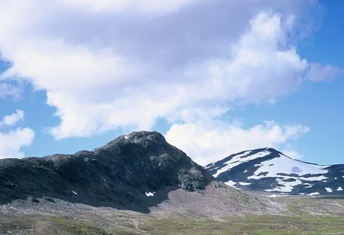 You only live twice.