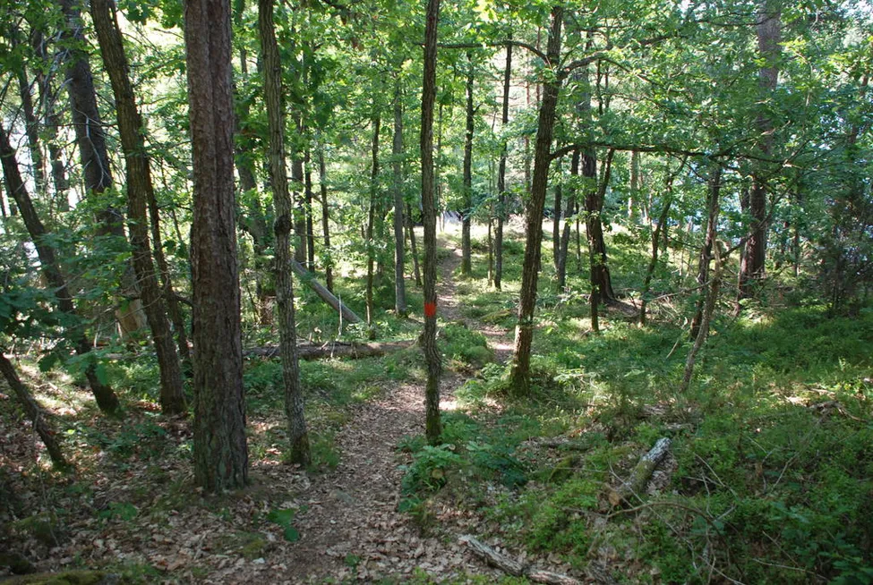 Klicka för att förstora