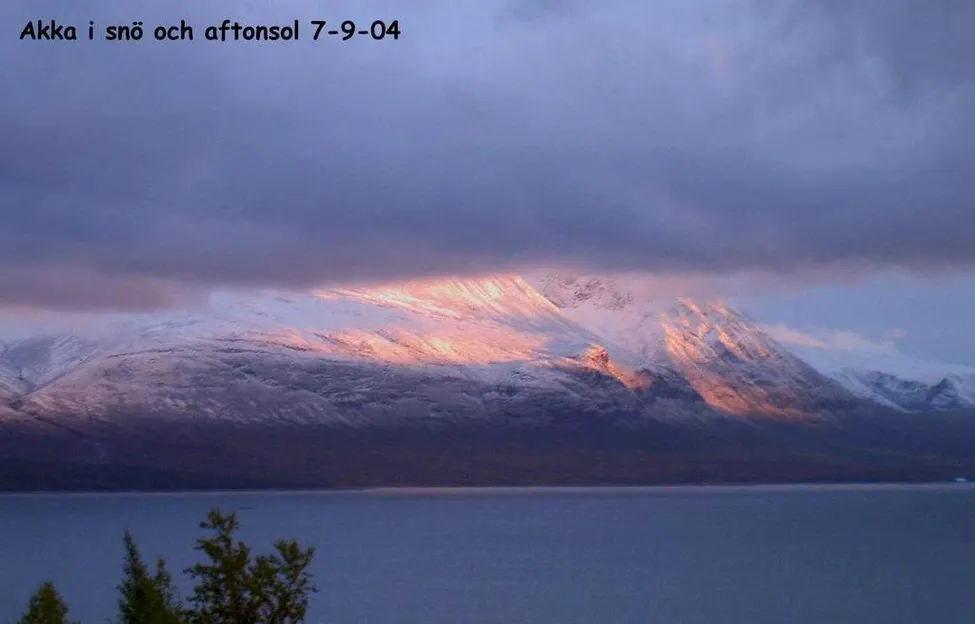 Klicka för att förstora