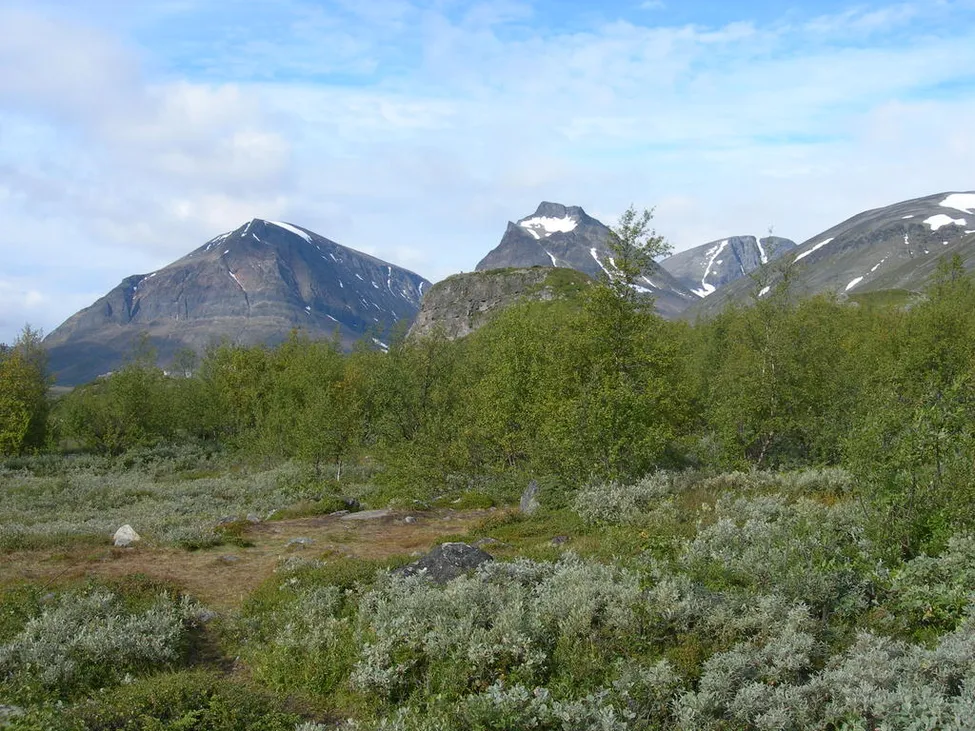 Klicka för att förstora