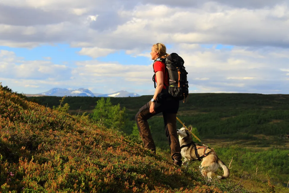 Klicka för att förstora