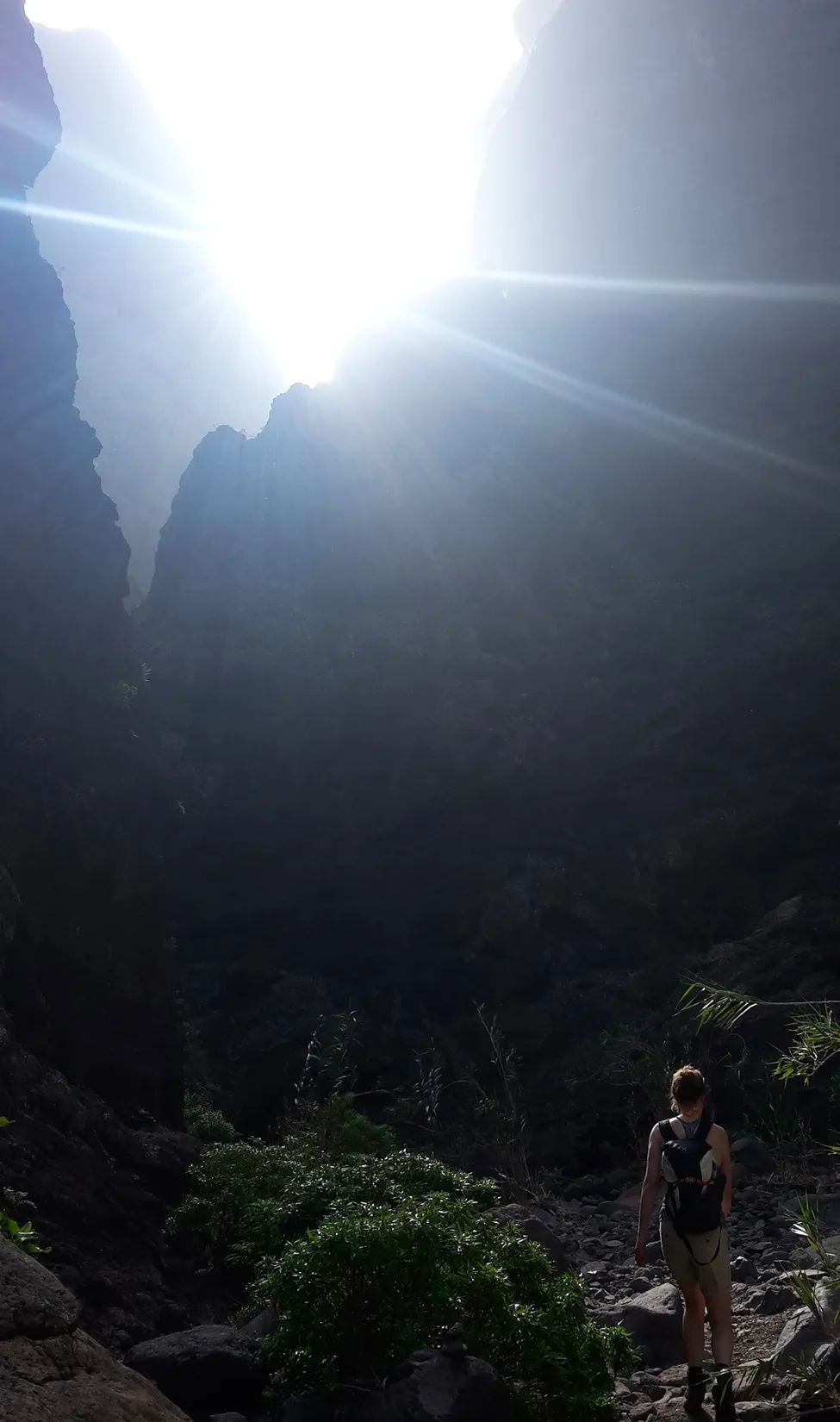 Klicka för att förstora