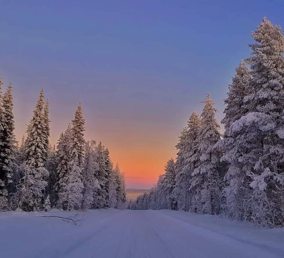 Klicka för att förstora