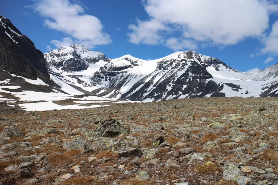 Klicka för att förstora