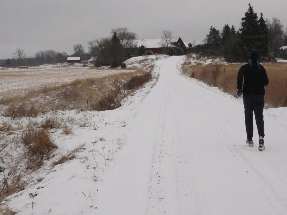 Klicka för att förstora