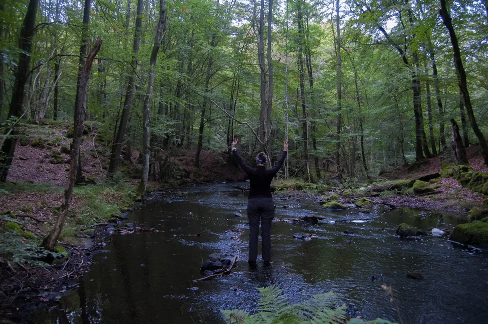 Klicka för att förstora
