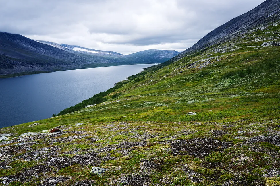 Klicka för att förstora