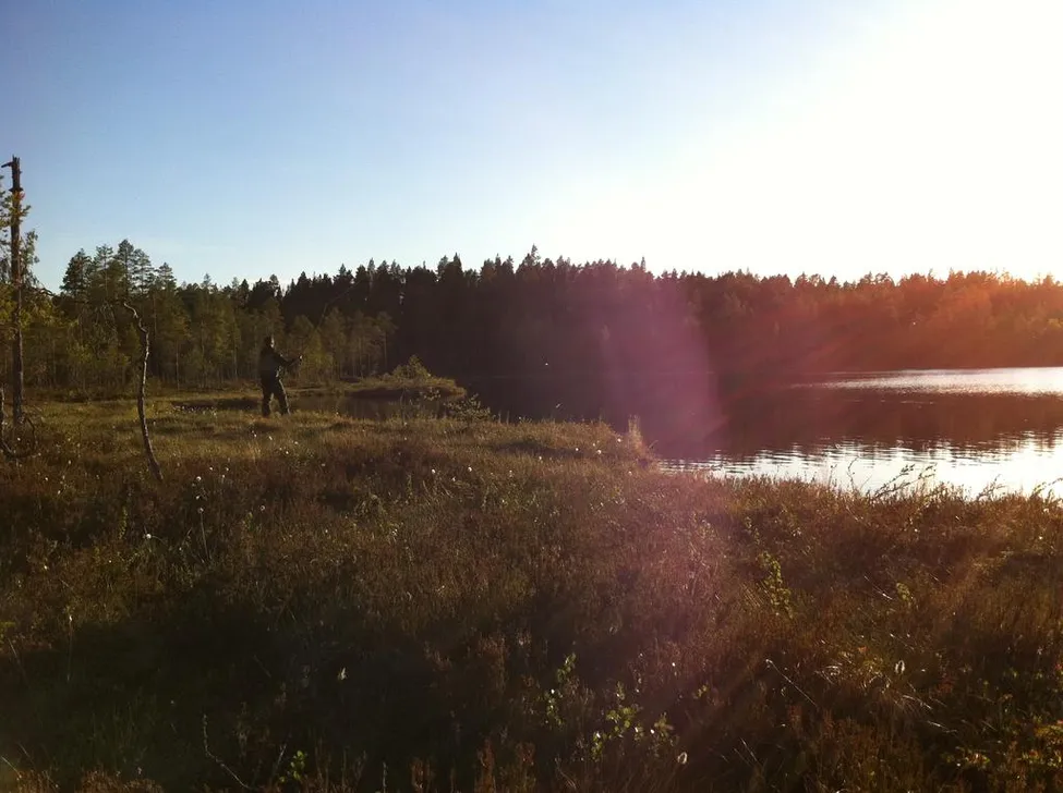 Klicka för att förstora
