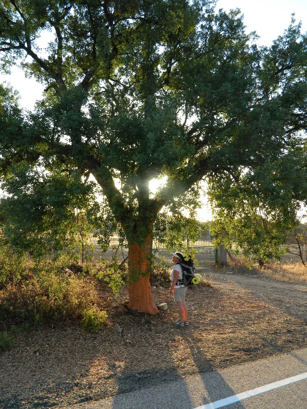 Klicka för att förstora