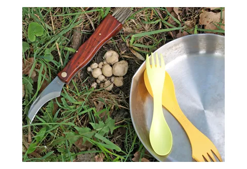 Luffarsvamp / Loffersopp