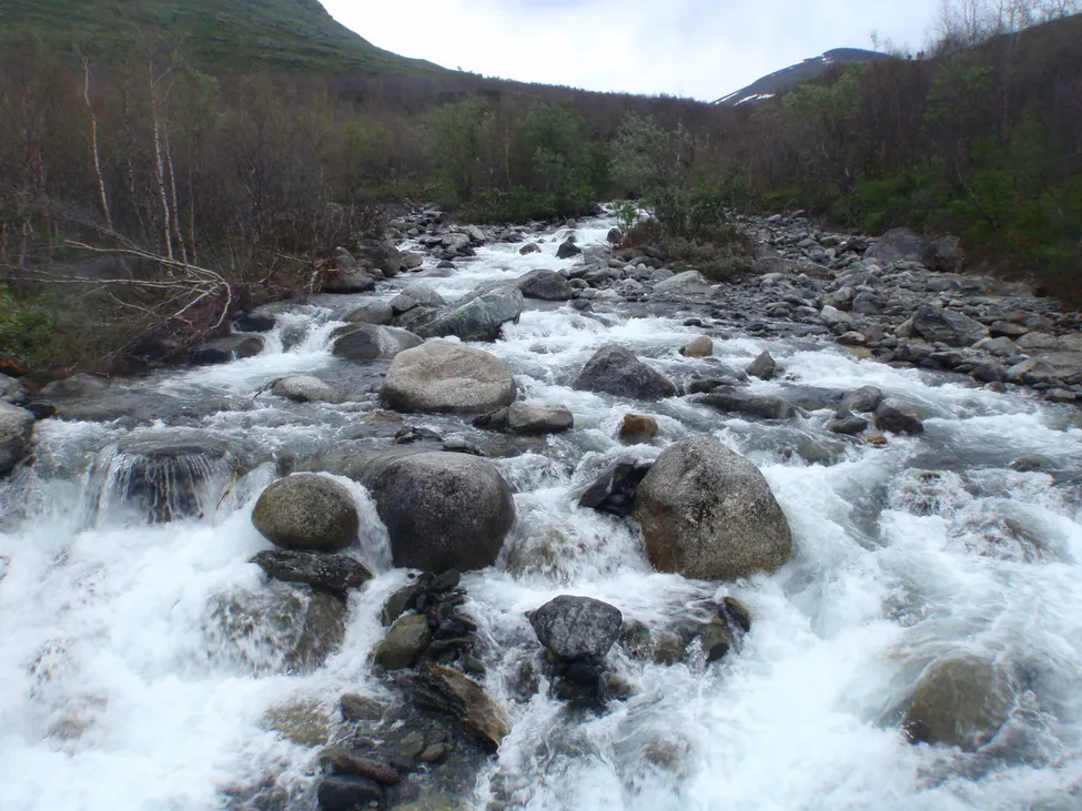 Klicka för att förstora