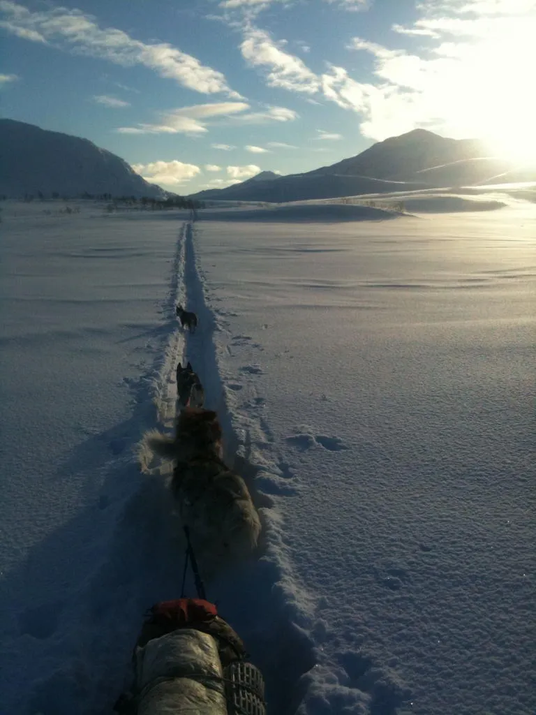 Klicka för att förstora