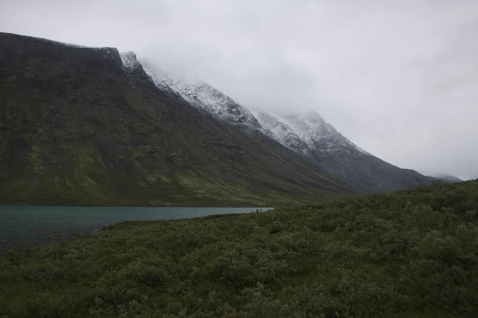 Klicka för att förstora