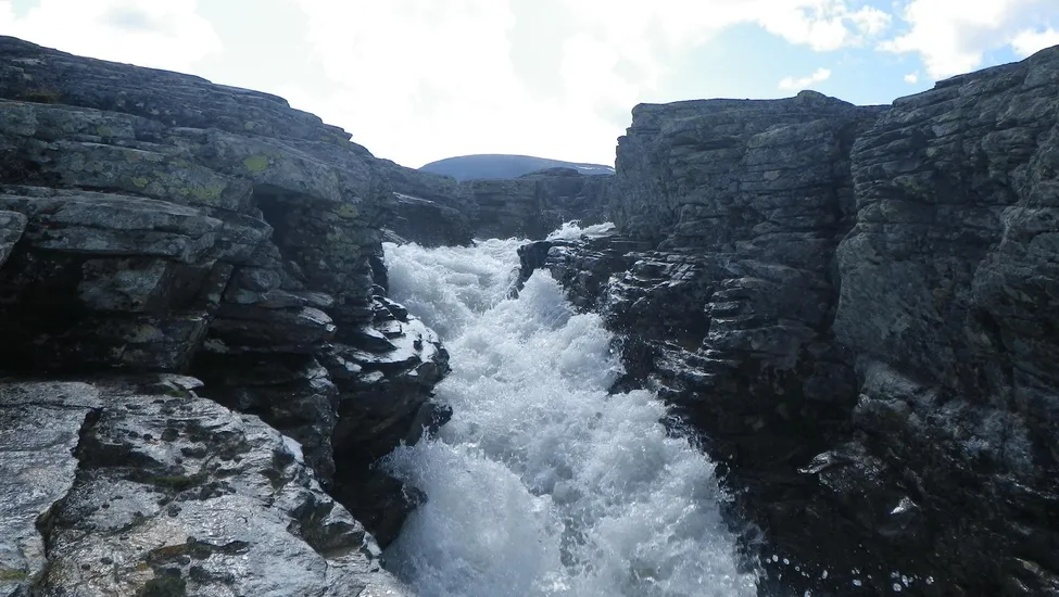 Klicka för att förstora