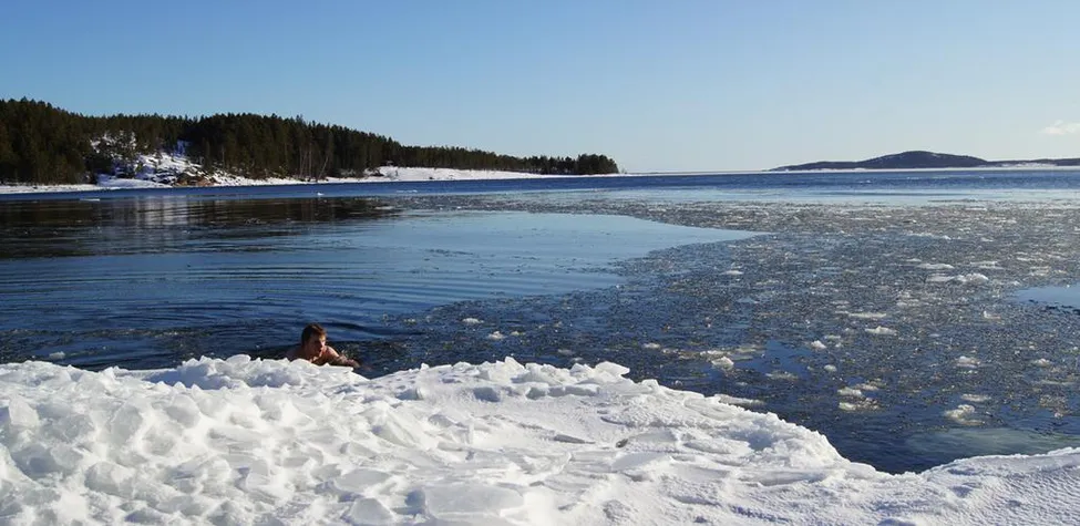 Klicka för att förstora