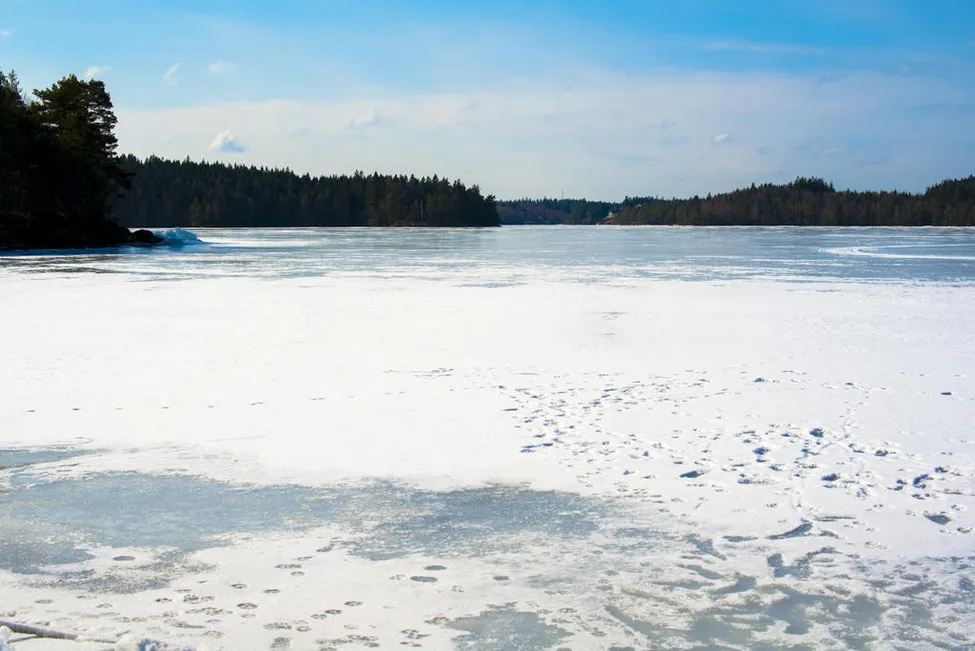 Klicka för att förstora