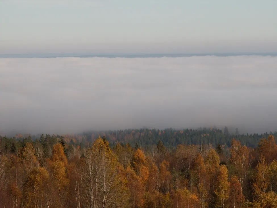 Klicka för att förstora