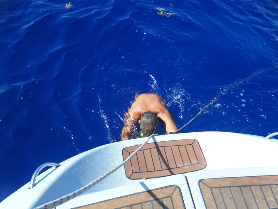 Klicka för att förstora