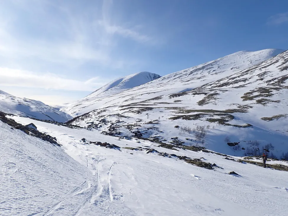 Klicka för att förstora