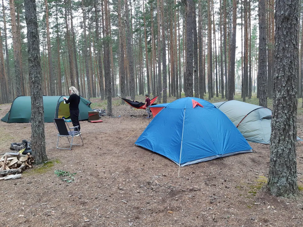 Klicka för att förstora