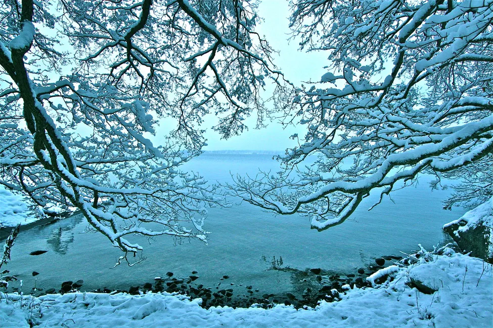 Klicka för att förstora