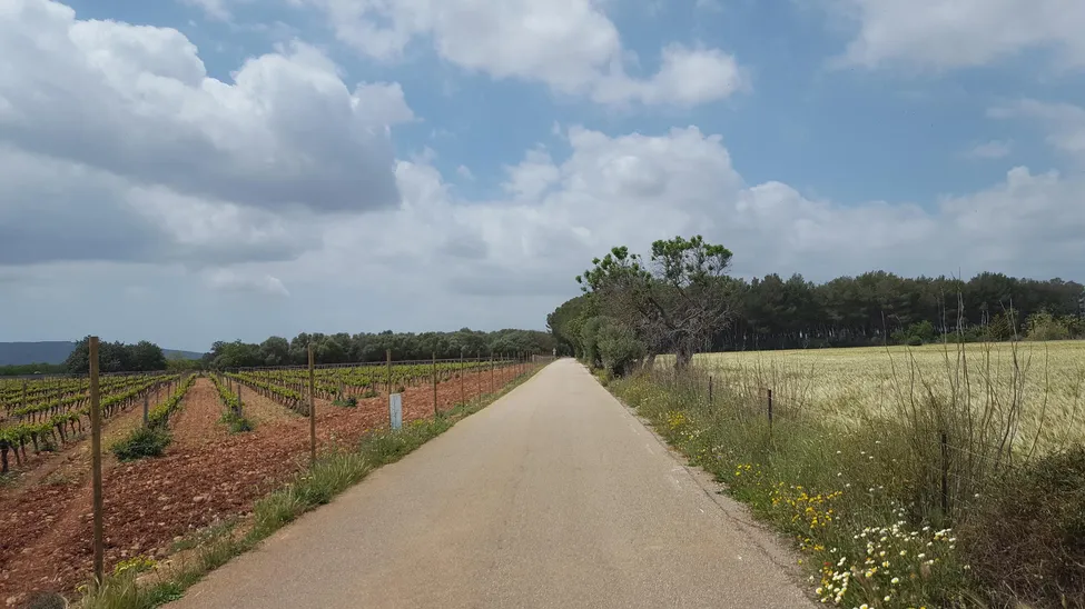 Klicka för att förstora