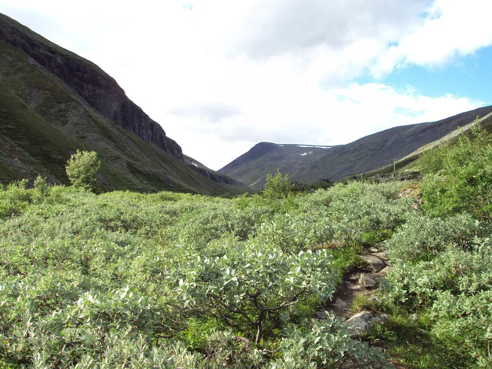 Klicka för att förstora