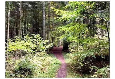 Pilgrimsvandring på Klosterleden