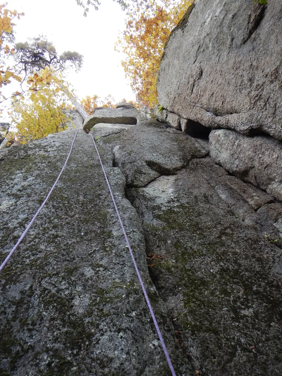 Klicka för att förstora