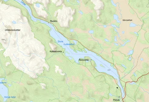 10 september - Easy Elsie och urskog, del 2