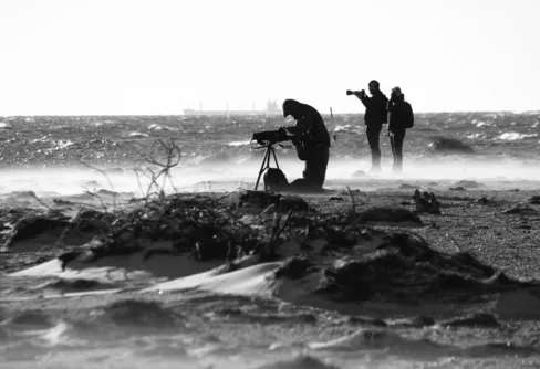 Sälsafari på Måkläppen