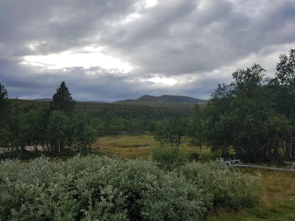 Klicka för att förstora