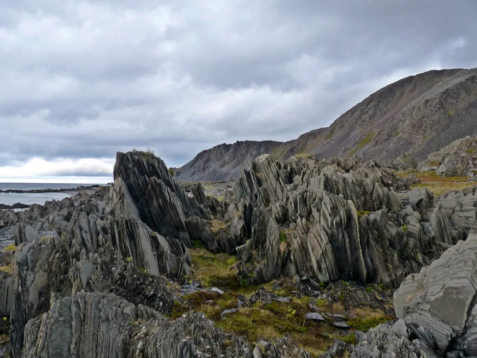 Klicka för att förstora