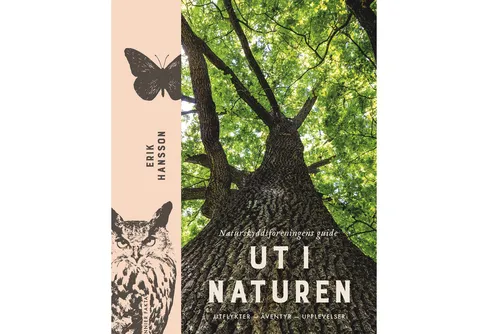 9 hösttips för dig som vill upptäcka Sveriges natur