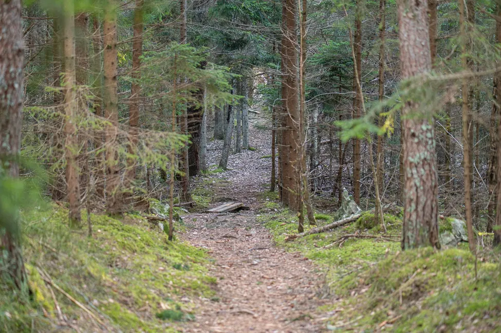Klicka för att förstora